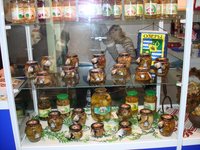 Зеленая неделя 2008