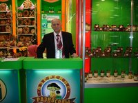 Зеленая неделя 2008